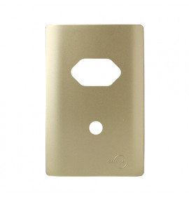 Placa p/ 1 Tomada + Furo 4x2 - Novara  Dourado